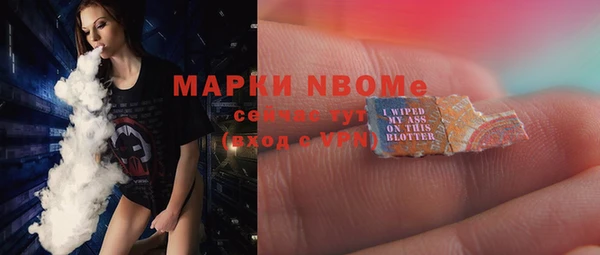 бошки Бронницы
