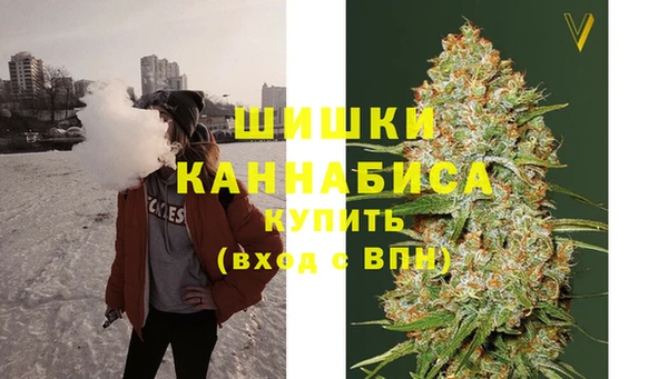 бошки Бронницы