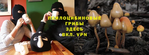 гидропоника Бородино